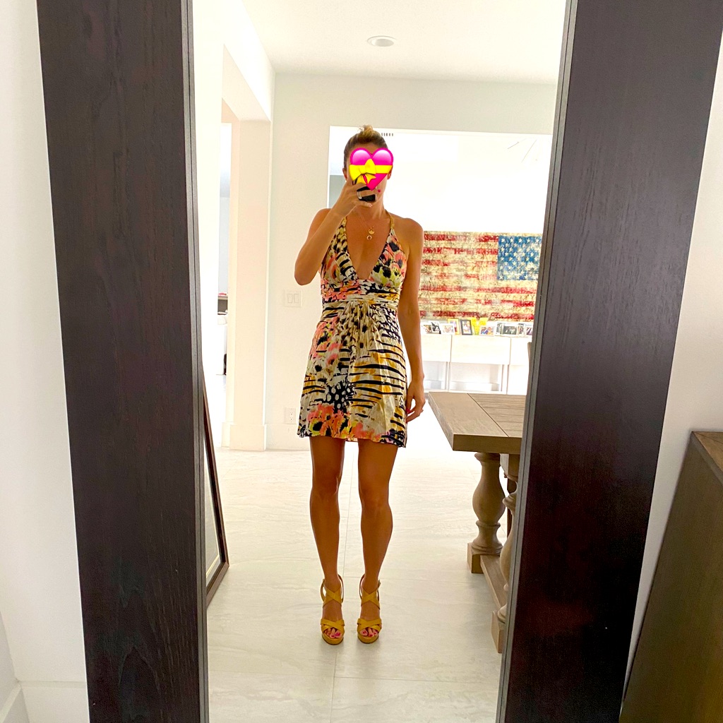 Sky Animal Print Silk Dress Sz Small Crystal Tiger